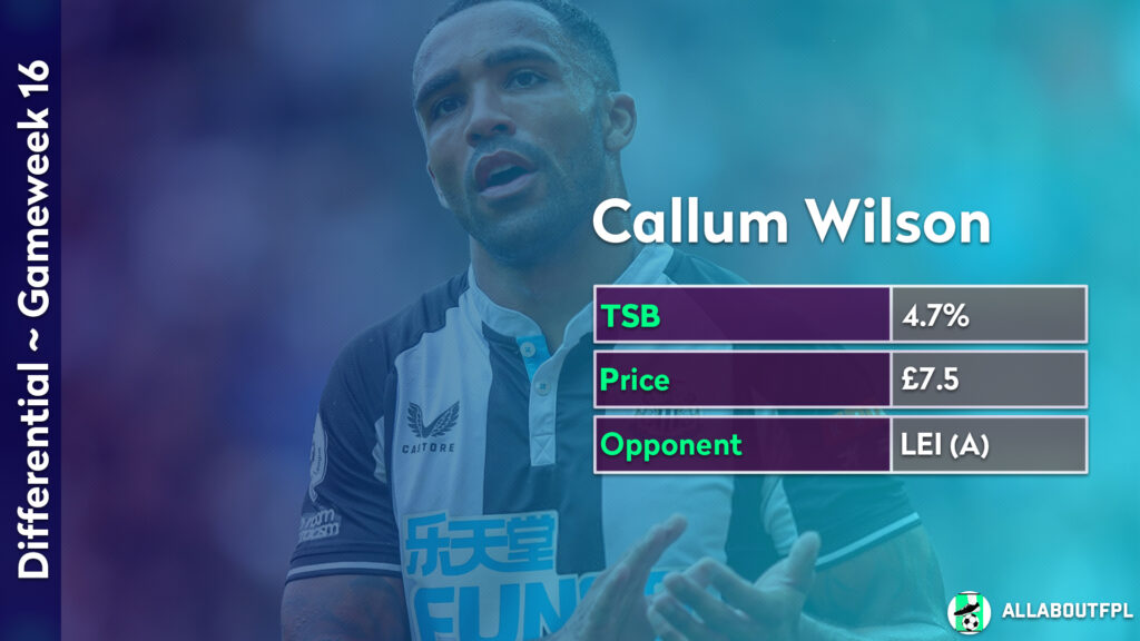 FPL GW16 Differential Picks ~ Callum Wilson 