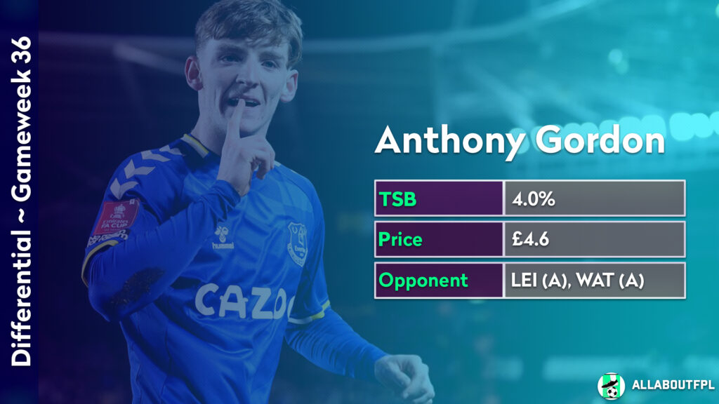 FPL GW36 Differential Picks ~ Gordon