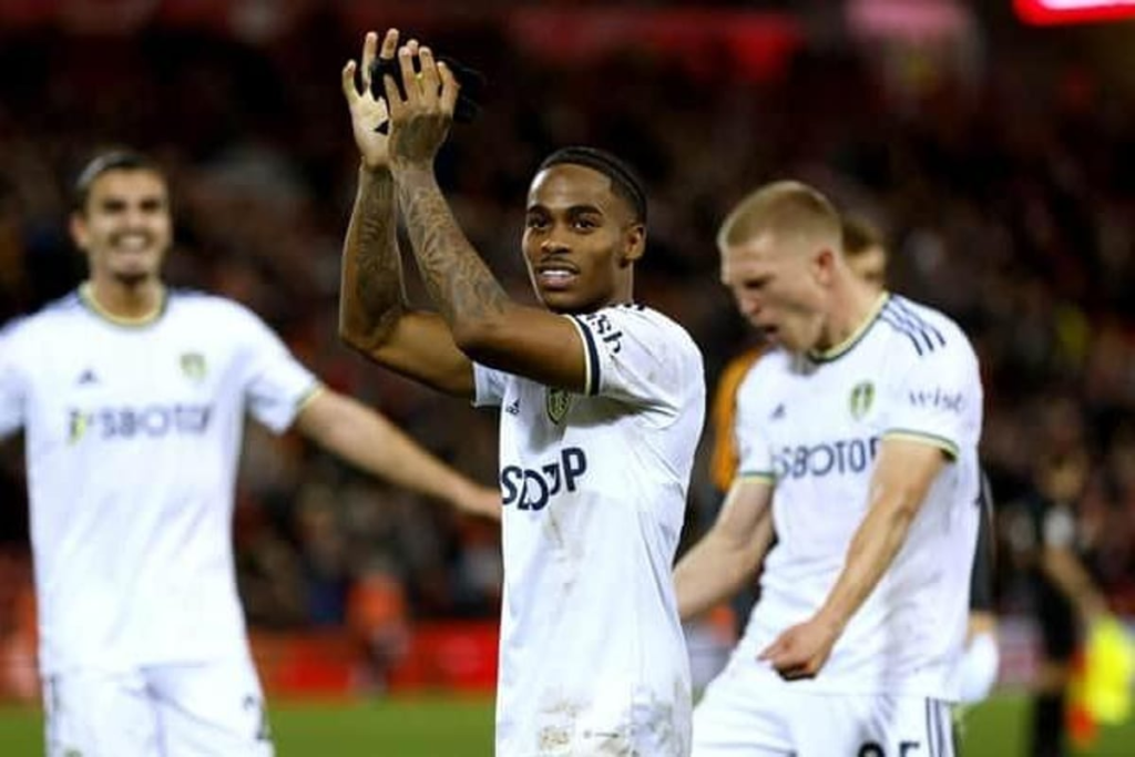 FPL Gameweek 19 Differential Picks ~ Summerville