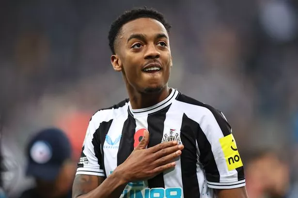 Solly March replacements Ahead of FPL GW36 - Willock