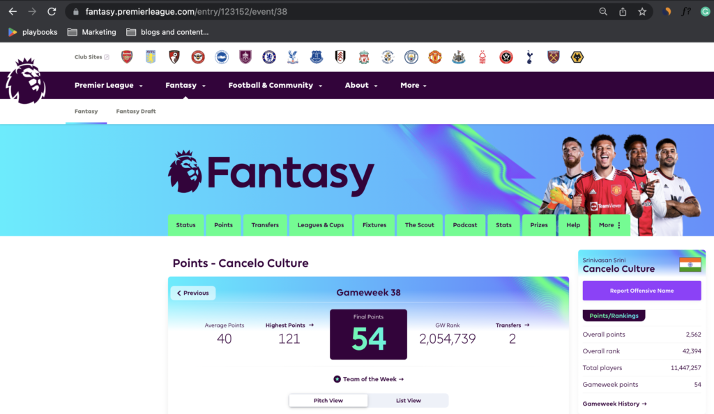 Where to find FPL Team ID?