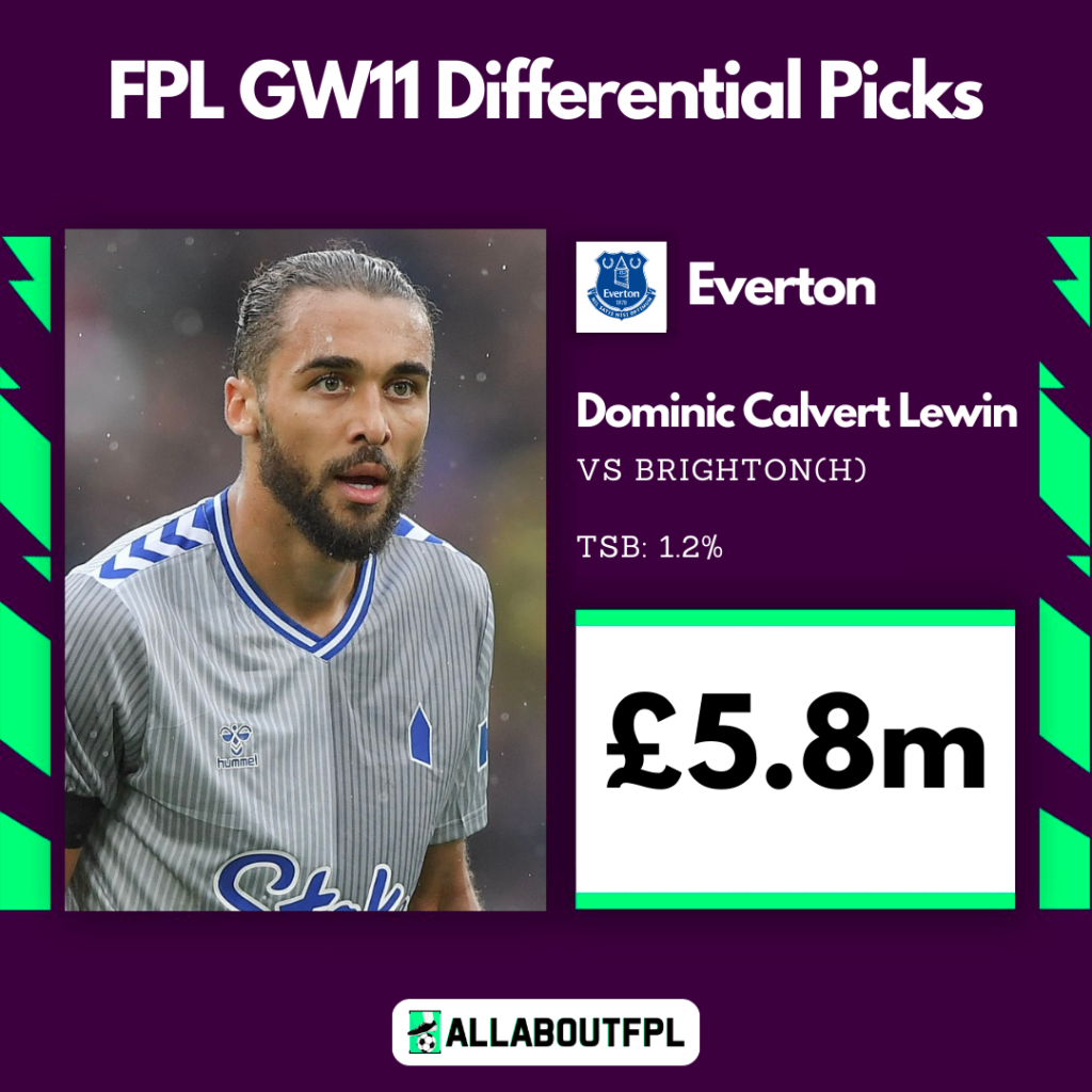 Top FPL GW11 Differential Picks ~ Dominic Calvert-Lewin
