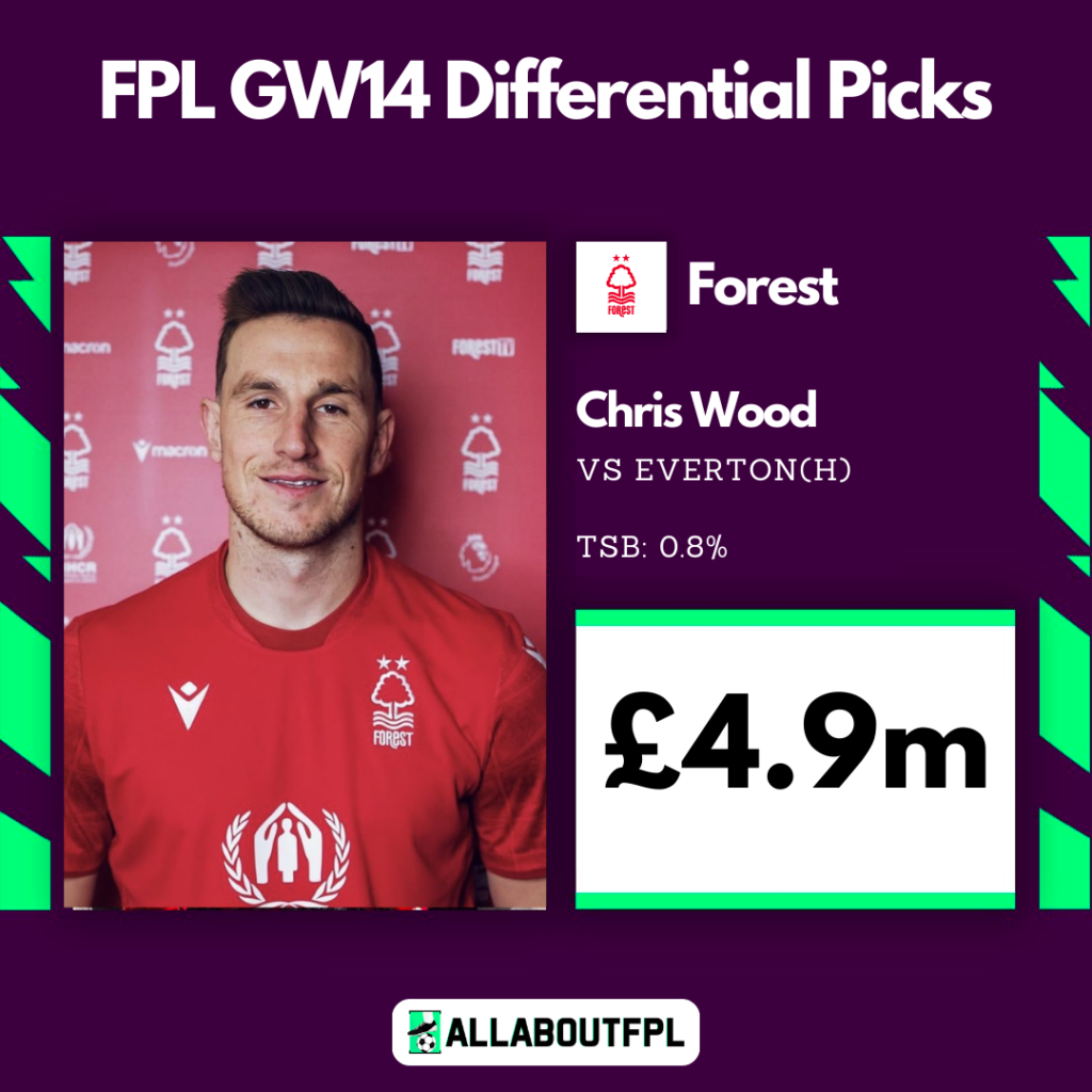FPL GW14 Differential Picks- Chris Wood