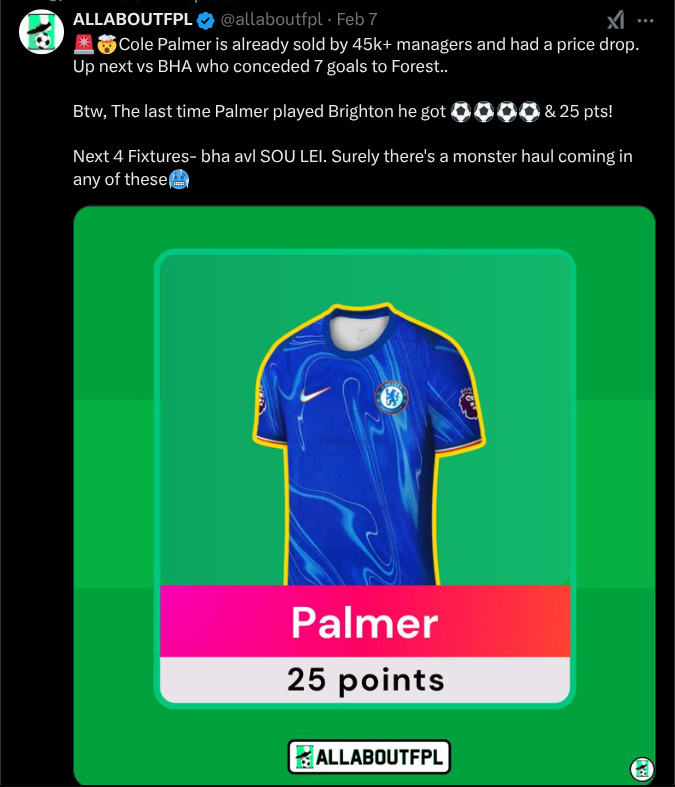 Palmer FPL