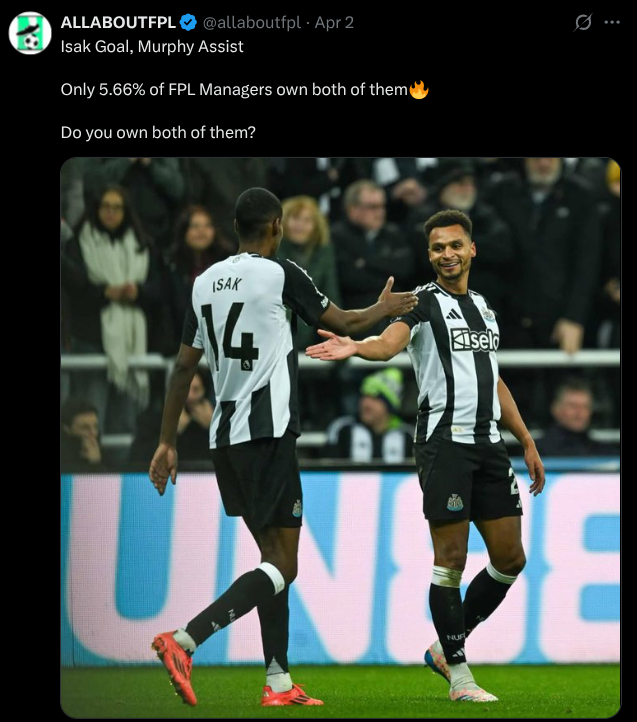 Newcastle fpl
